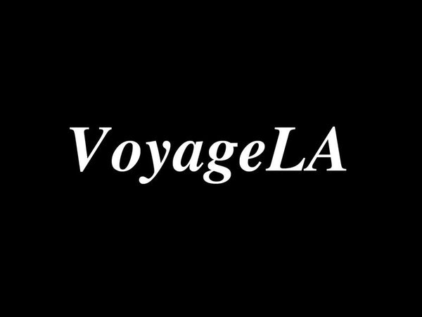 Voyage LA Interview